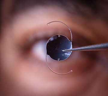 Having Tools to Assess: